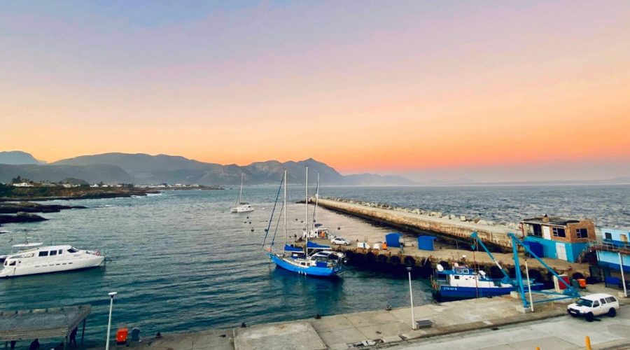 Captivating Adventure & Marine Magic: The Top 3 Things to Do at the Harbour