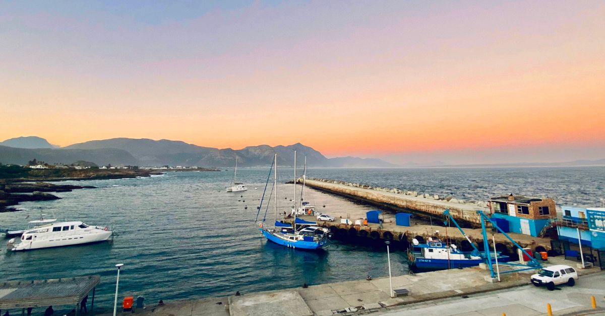 New Harbour in Hermanus at sunset, popular for whale watching boat tours