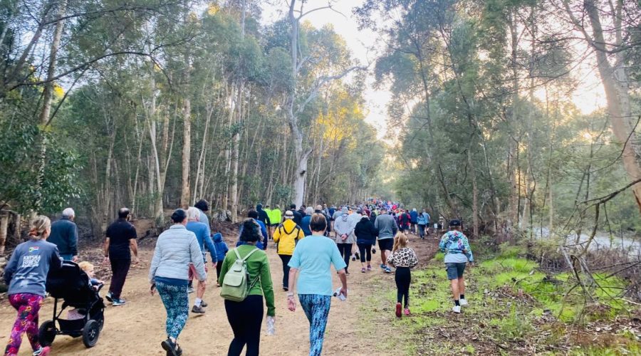 Kick-Start Your Saturday: The Best of Whale Coast Parkruns